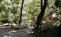 Click to enlarge