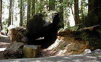 Click to enlarge